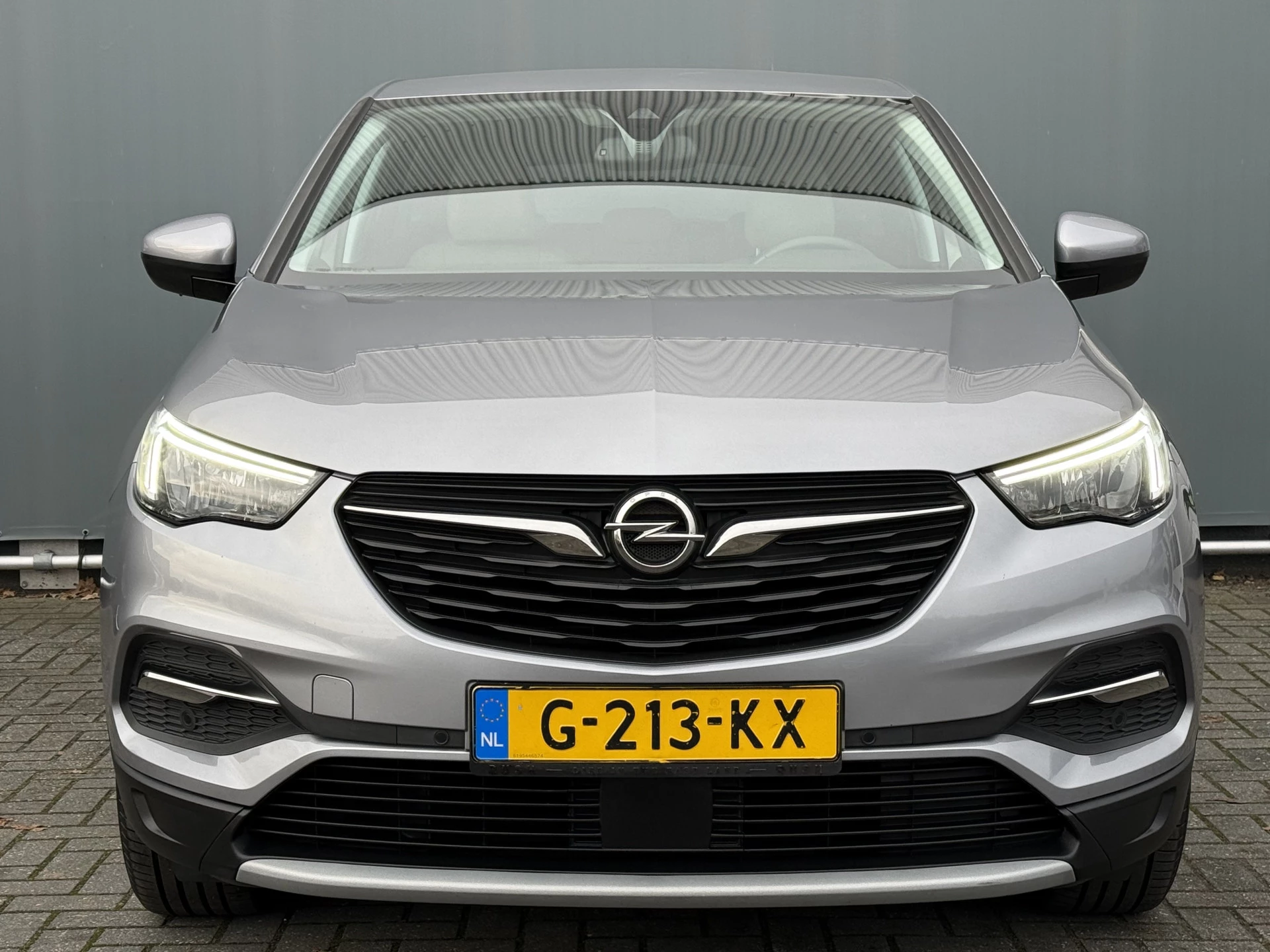 Hoofdafbeelding Opel Grandland X