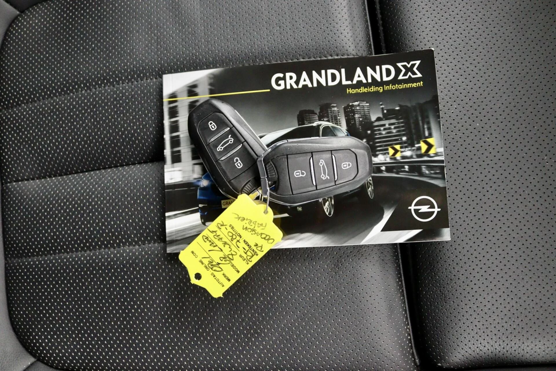 Hoofdafbeelding Opel Grandland X