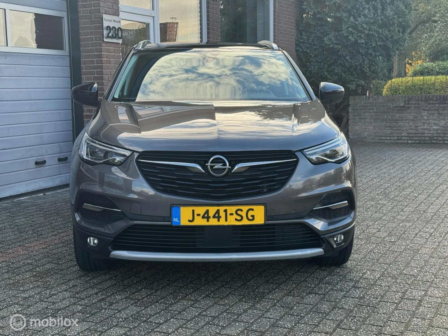 Hoofdafbeelding Opel Grandland X