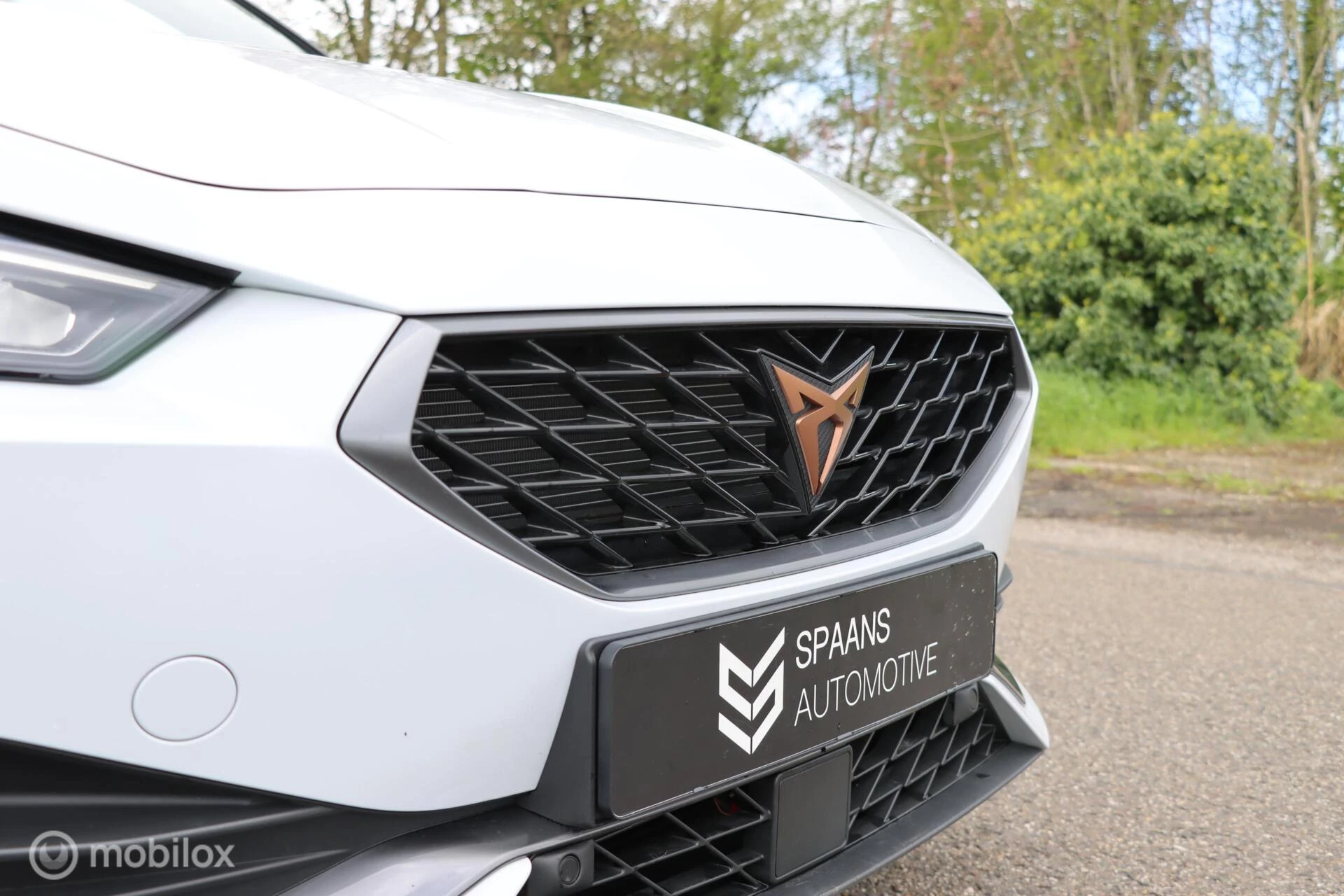 Hoofdafbeelding CUPRA Leon Sportstourer