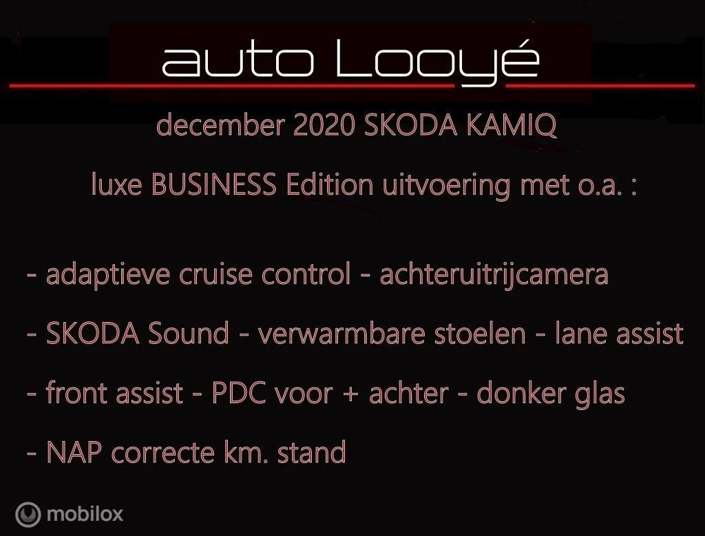 Hoofdafbeelding Škoda Kamiq