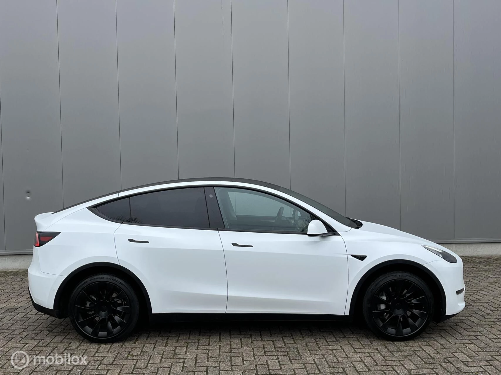 Hoofdafbeelding Tesla Model Y