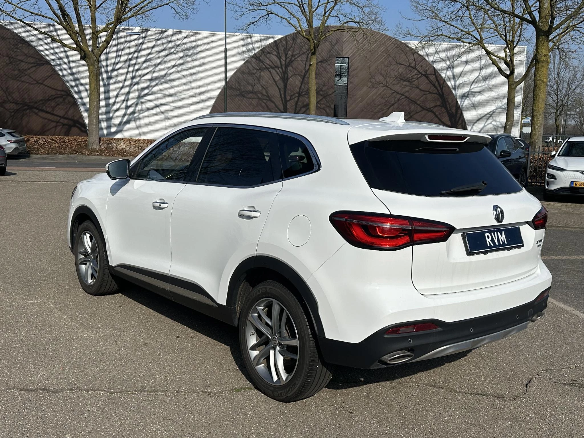 Hoofdafbeelding MG EHS