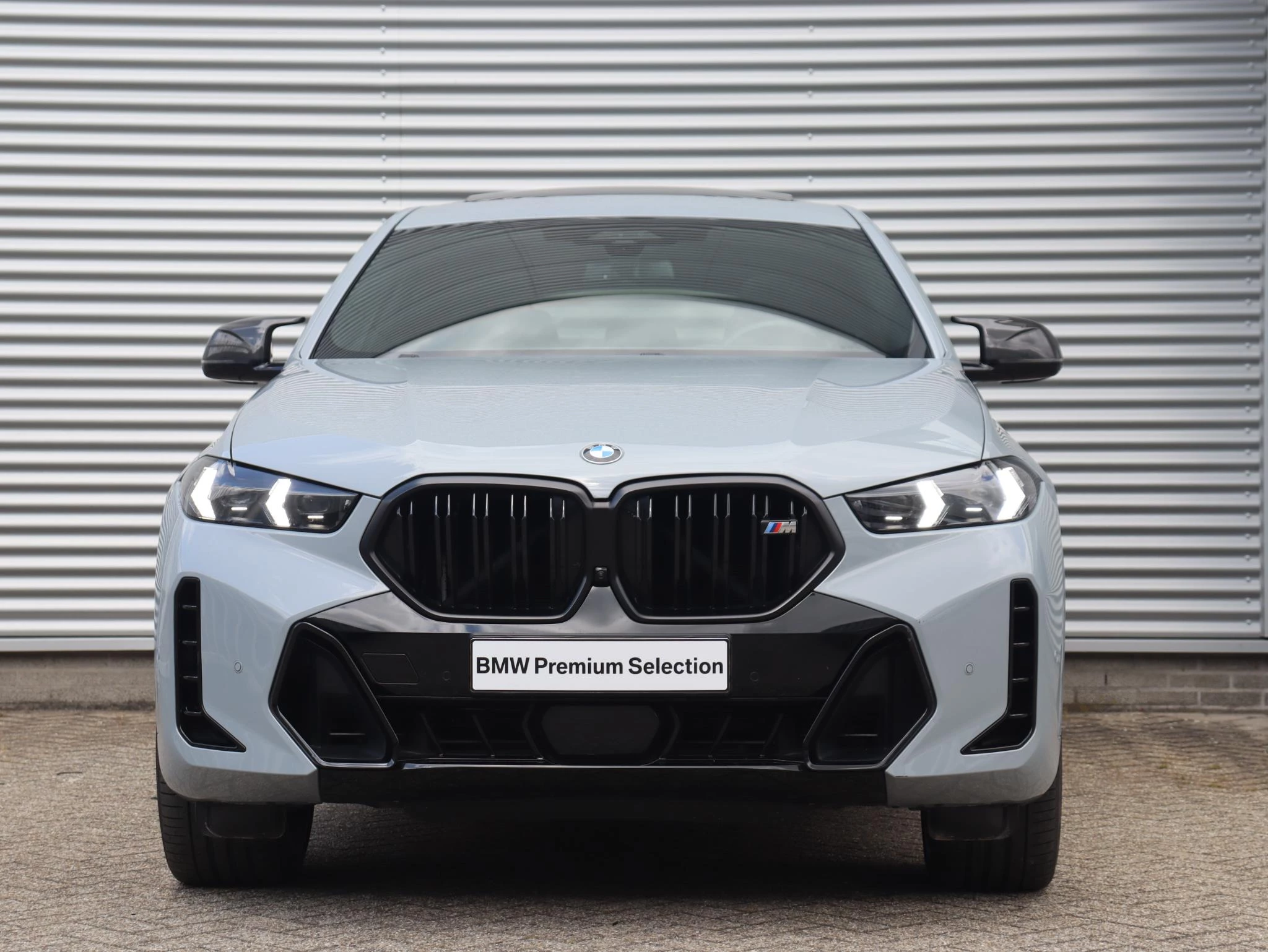 Hoofdafbeelding BMW X6