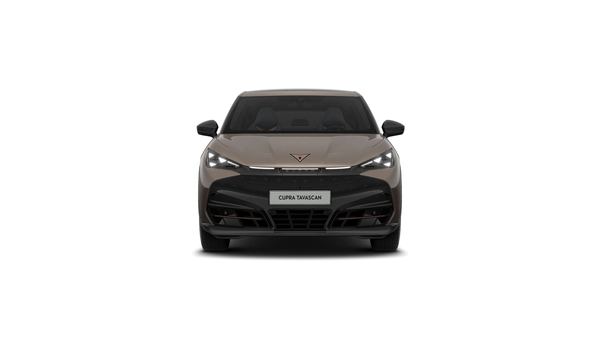 Hoofdafbeelding CUPRA Tavascan