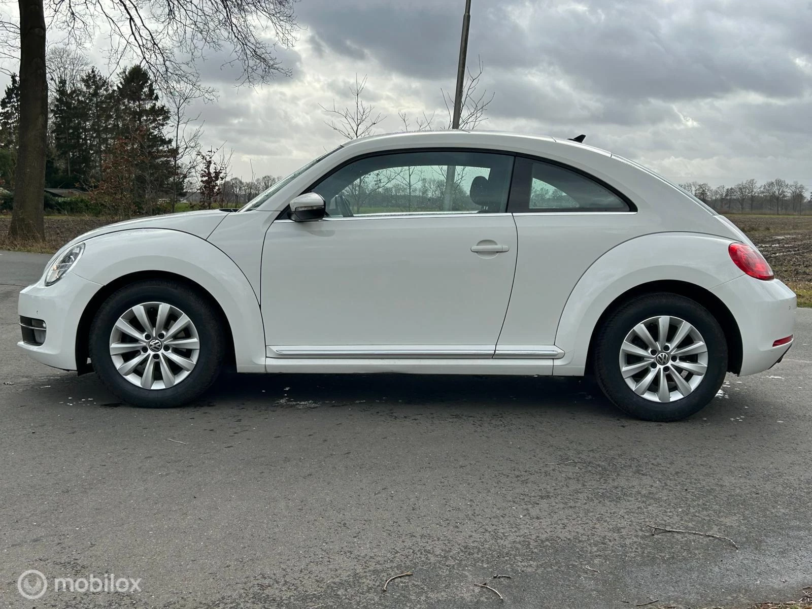 Hoofdafbeelding Volkswagen Beetle