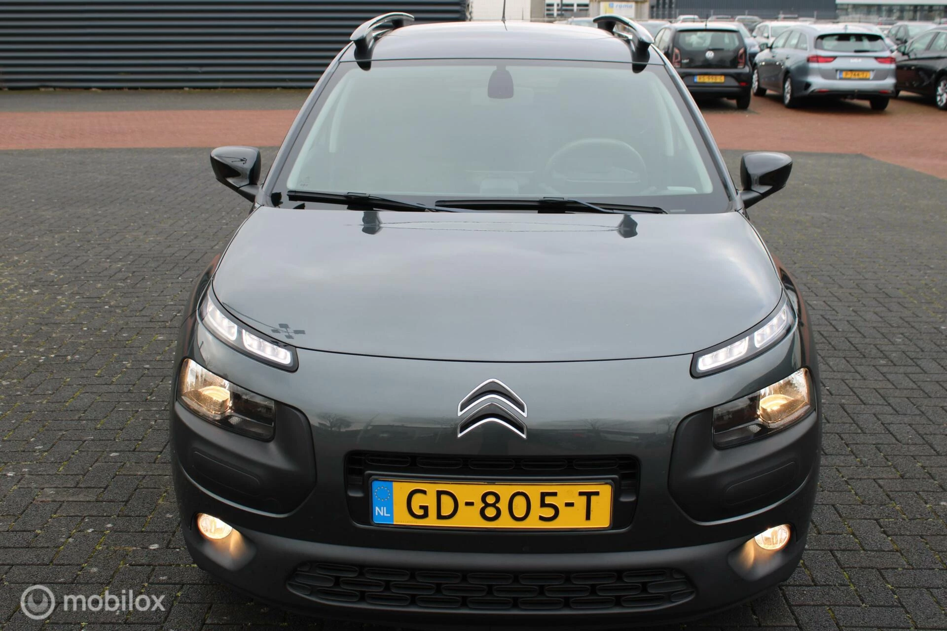 Hoofdafbeelding Citroën C4 Cactus