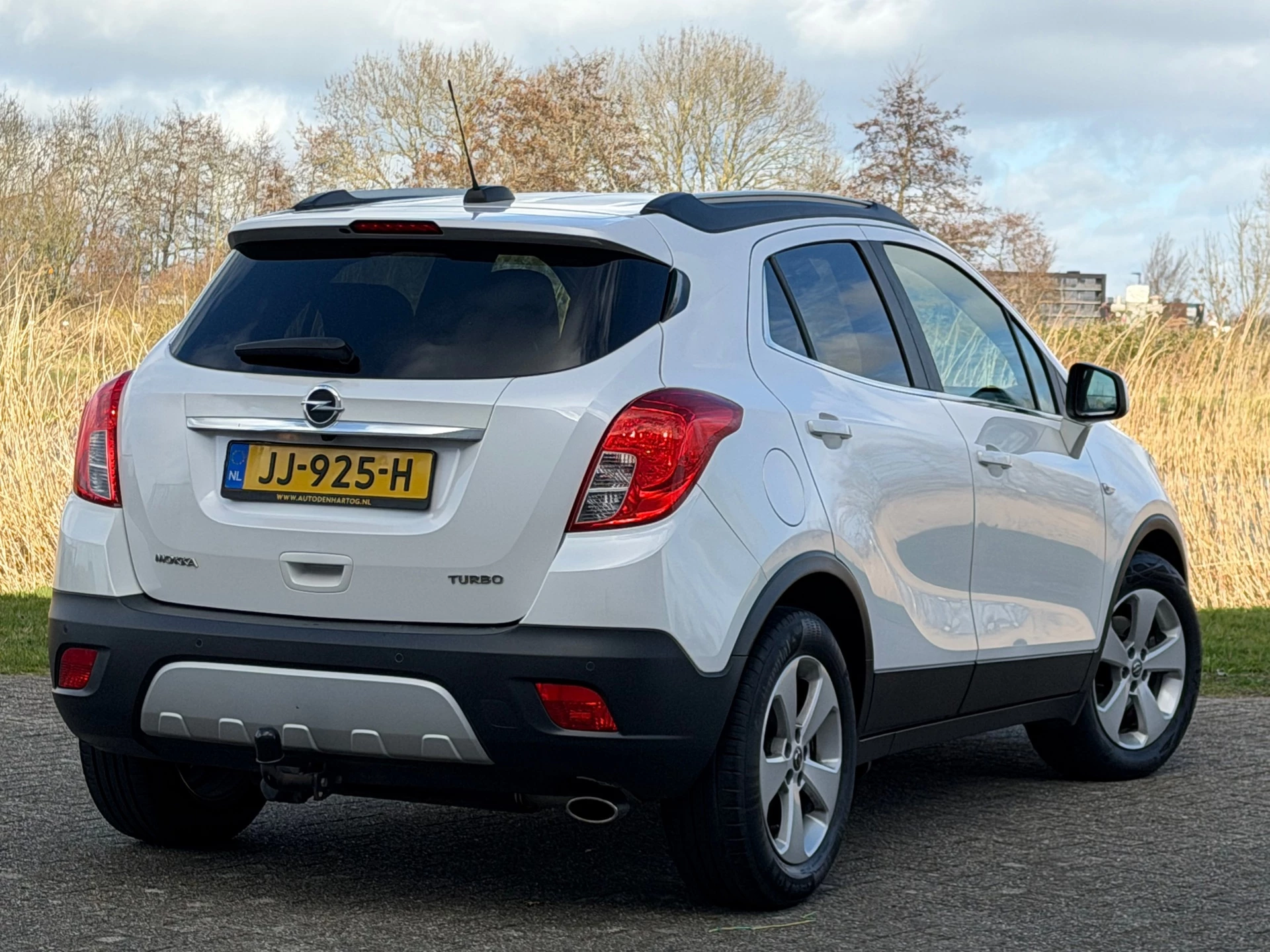 Hoofdafbeelding Opel Mokka