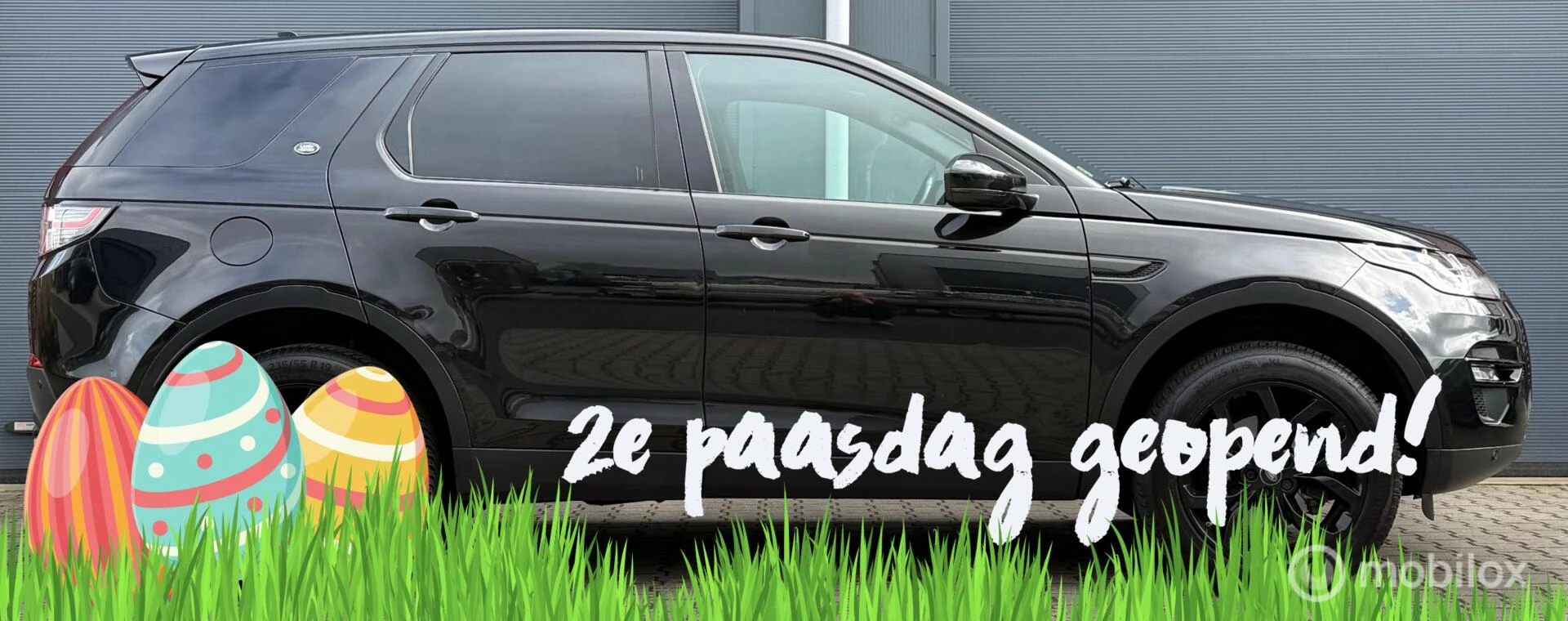 Hoofdafbeelding Land Rover Discovery Sport