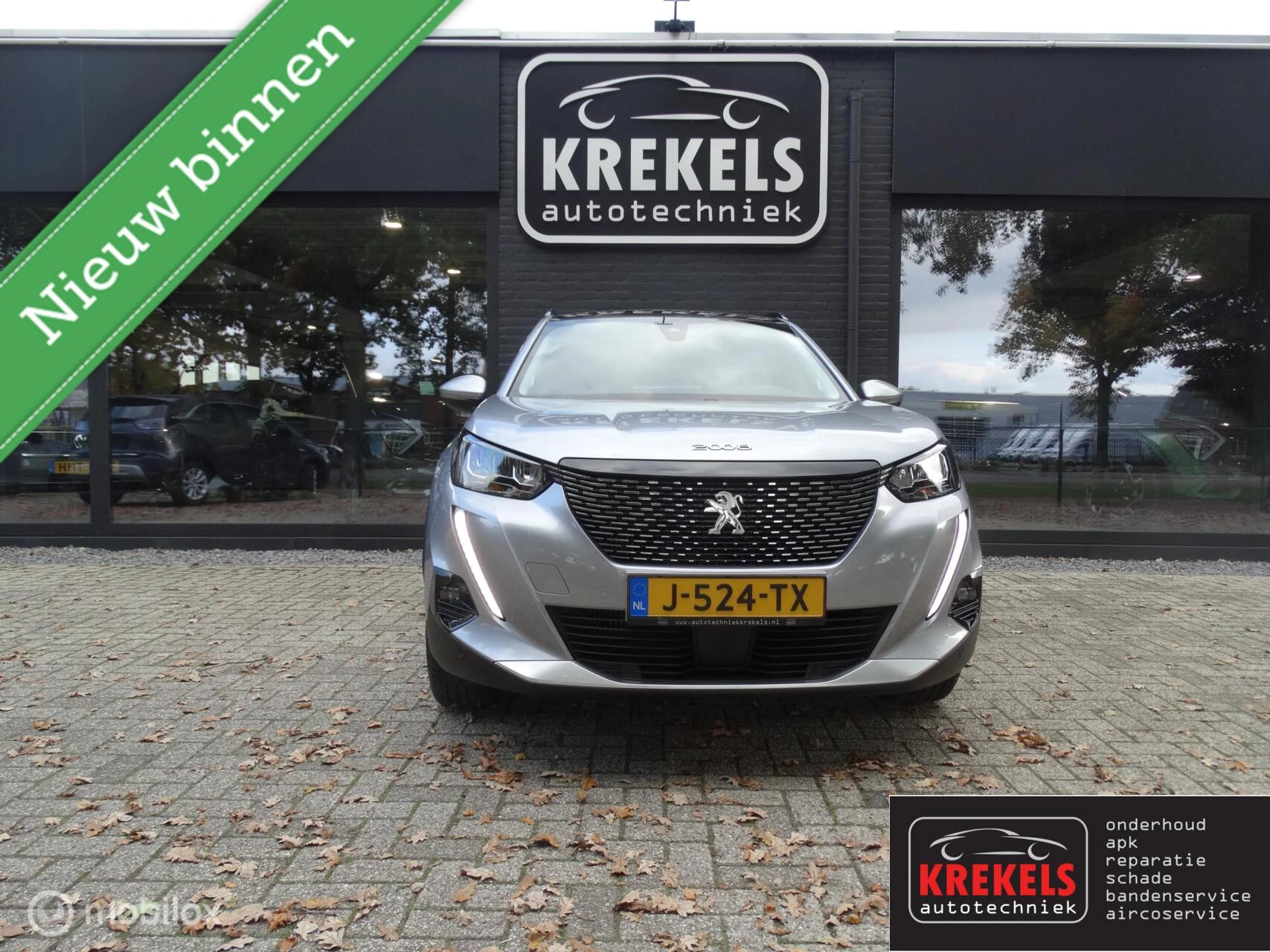 Hoofdafbeelding Peugeot 2008