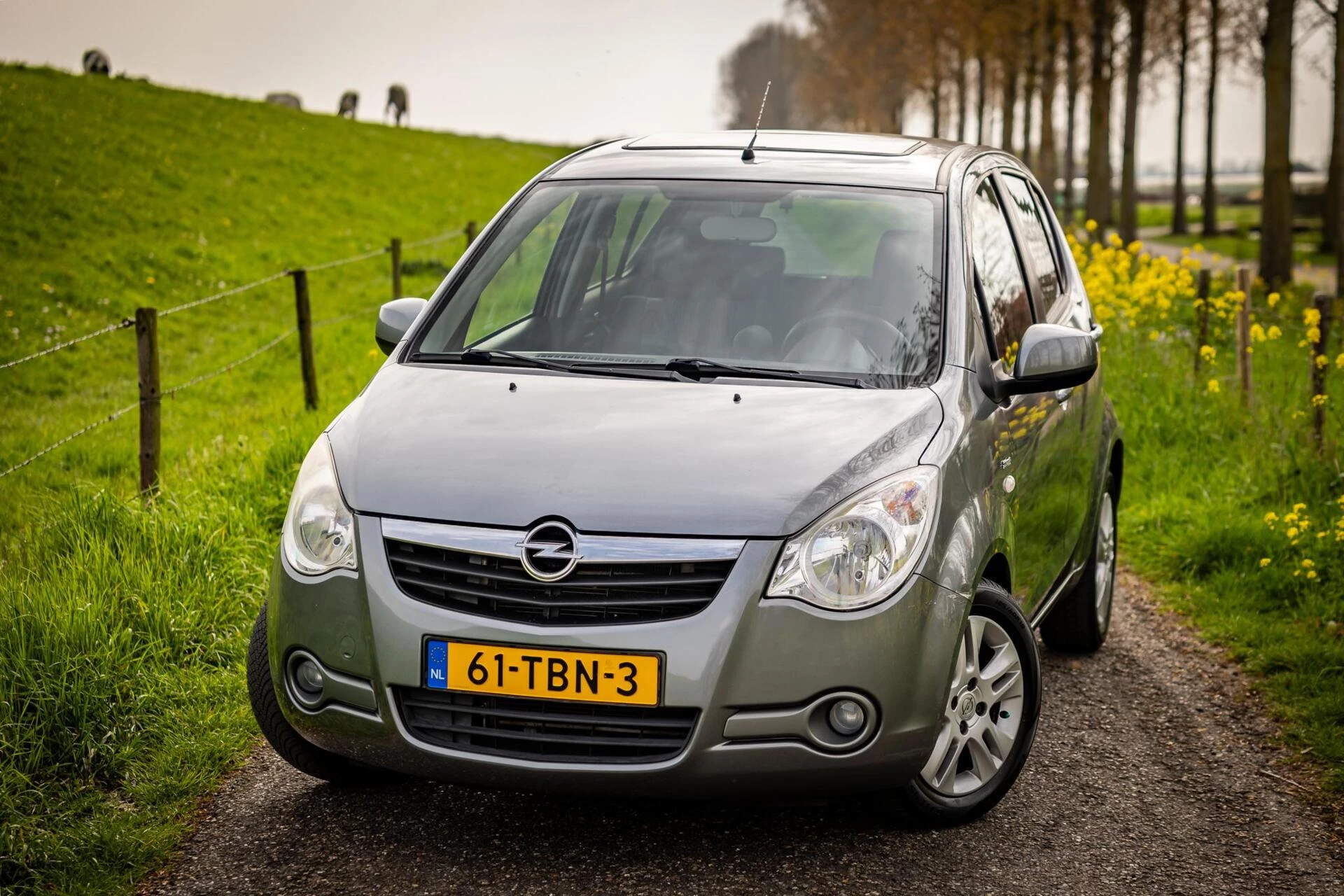 Hoofdafbeelding Opel Agila