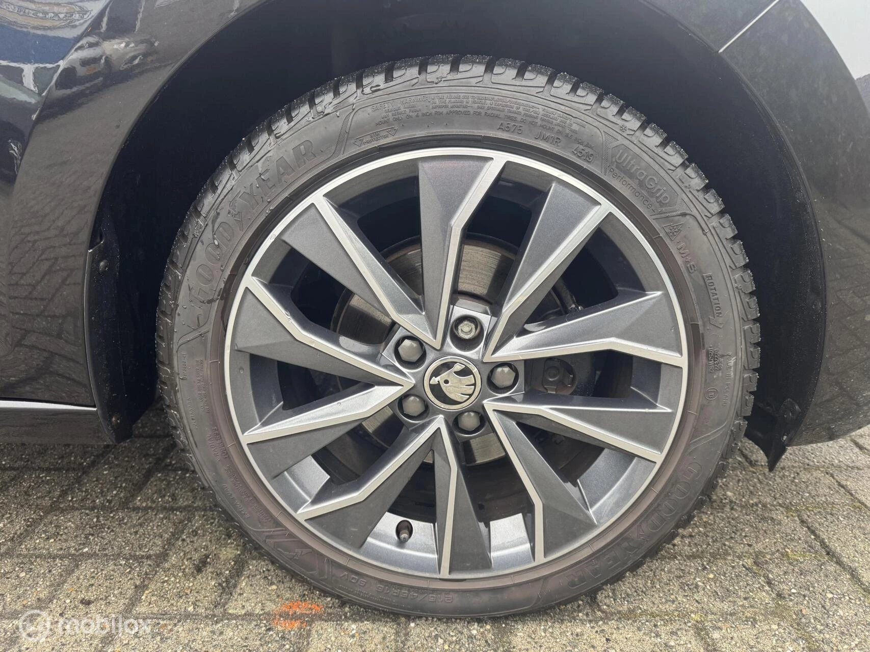 Hoofdafbeelding Škoda Rapid