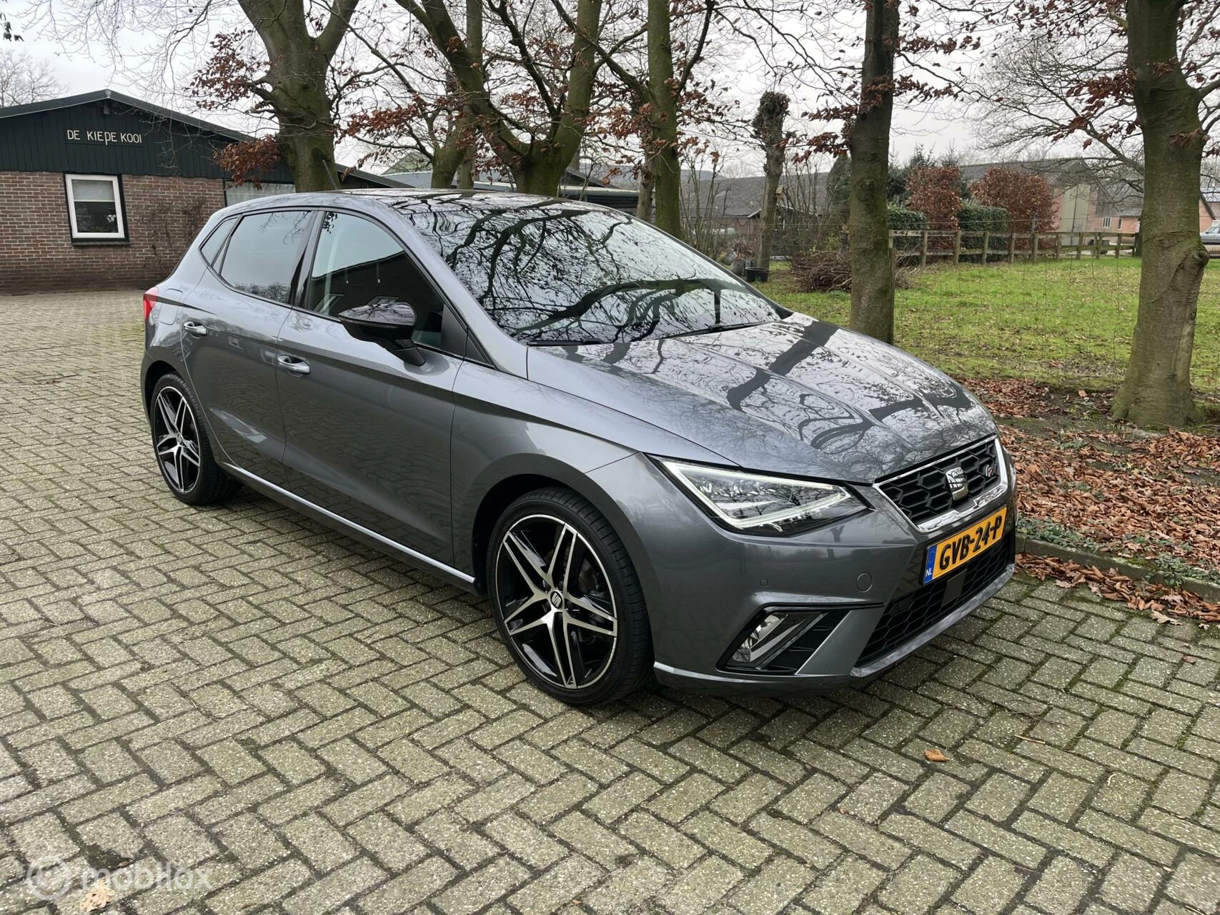 Hoofdafbeelding SEAT Ibiza