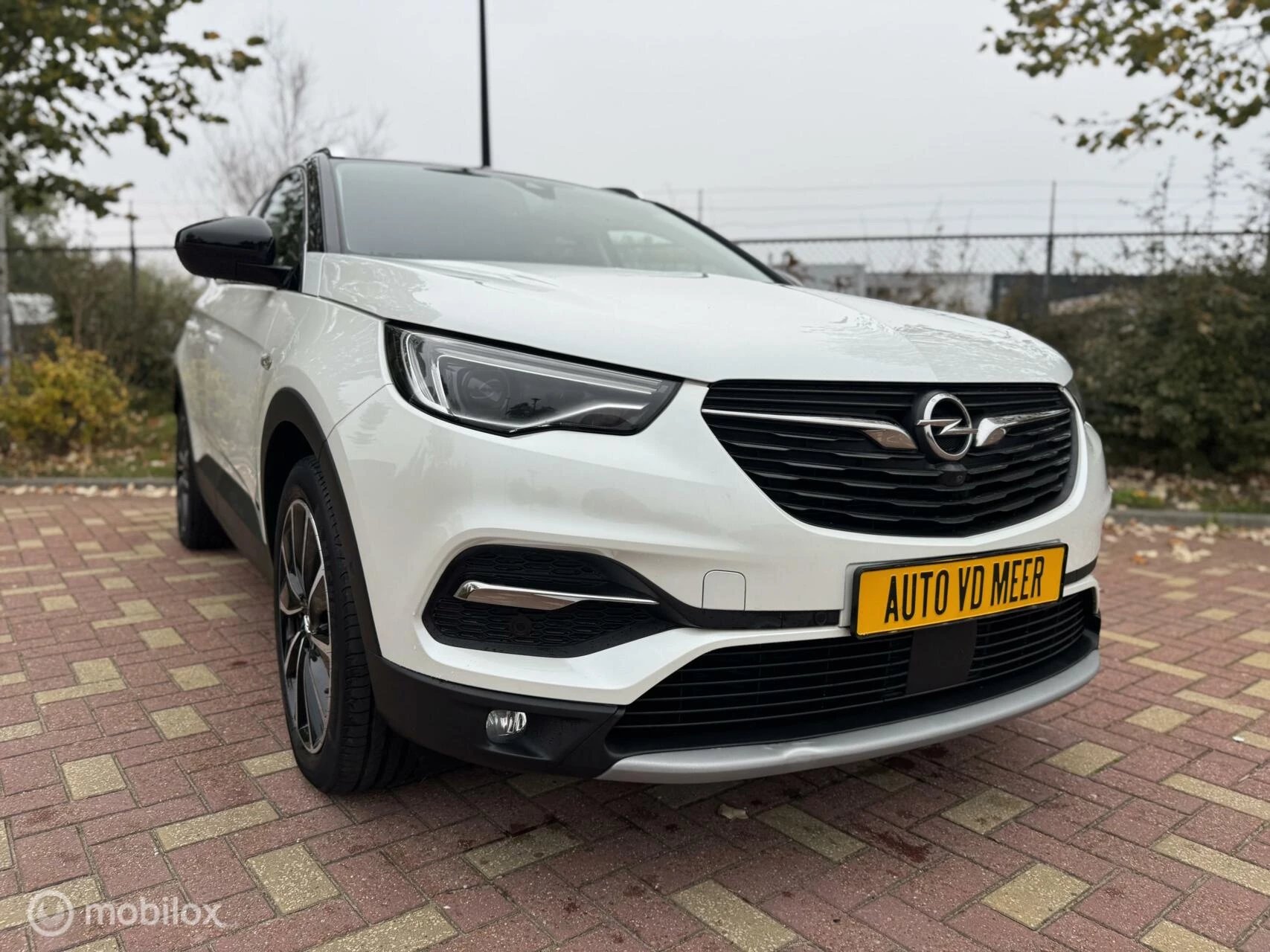 Hoofdafbeelding Opel Grandland X