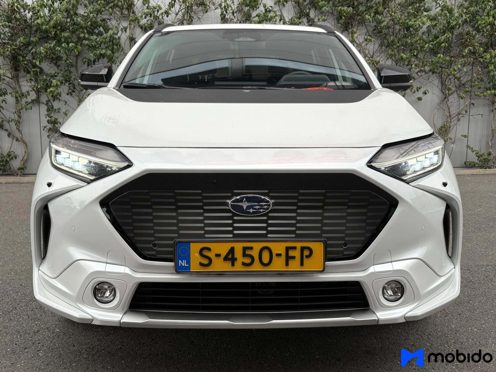 Hoofdafbeelding Subaru Solterra