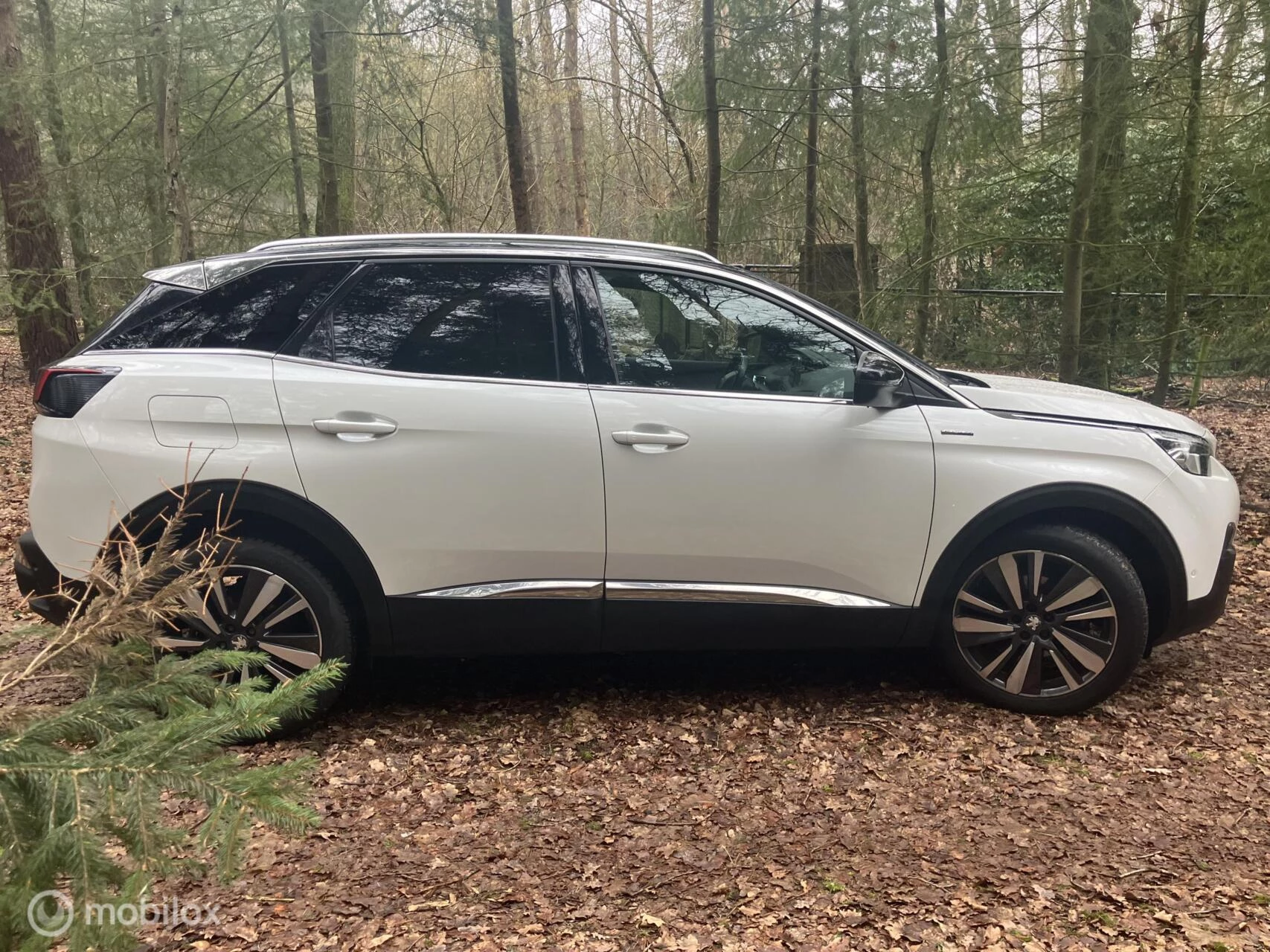 Hoofdafbeelding Peugeot 3008