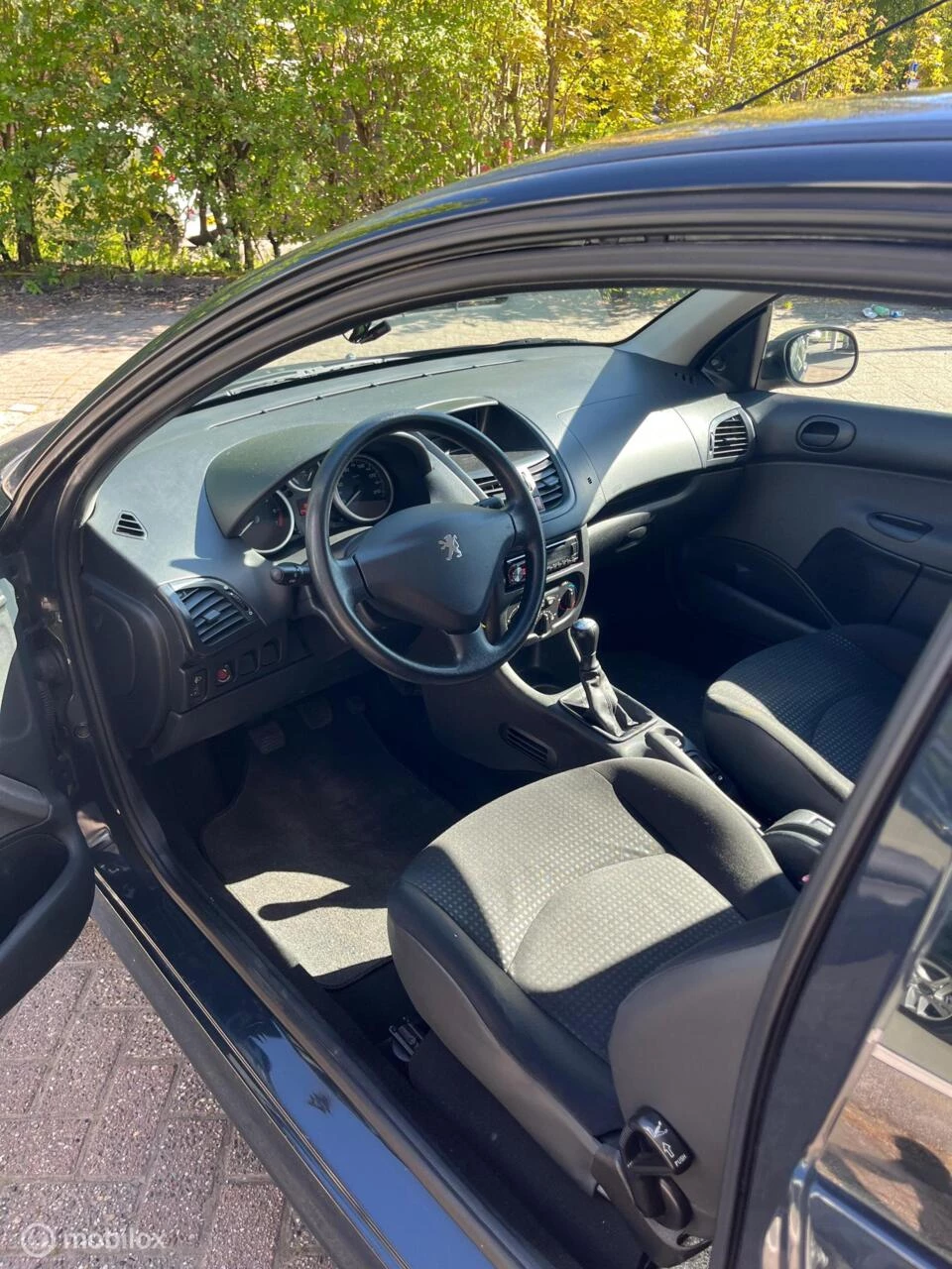 Hoofdafbeelding Peugeot 206