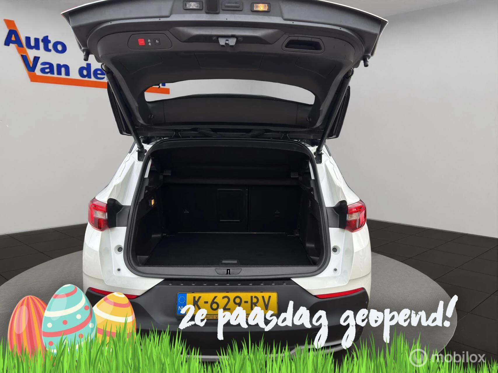 Hoofdafbeelding Opel Grandland X