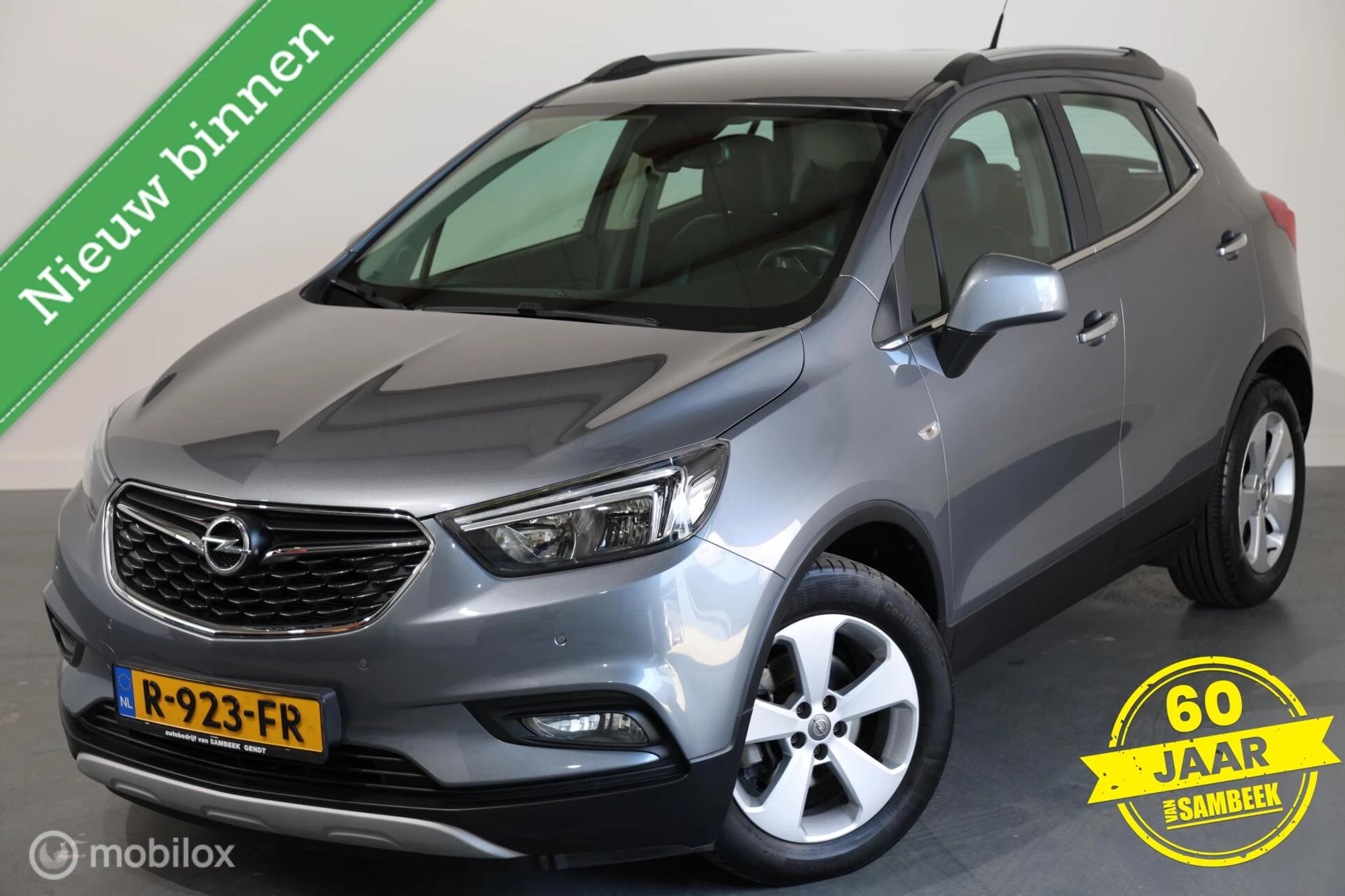 Hoofdafbeelding Opel Mokka X