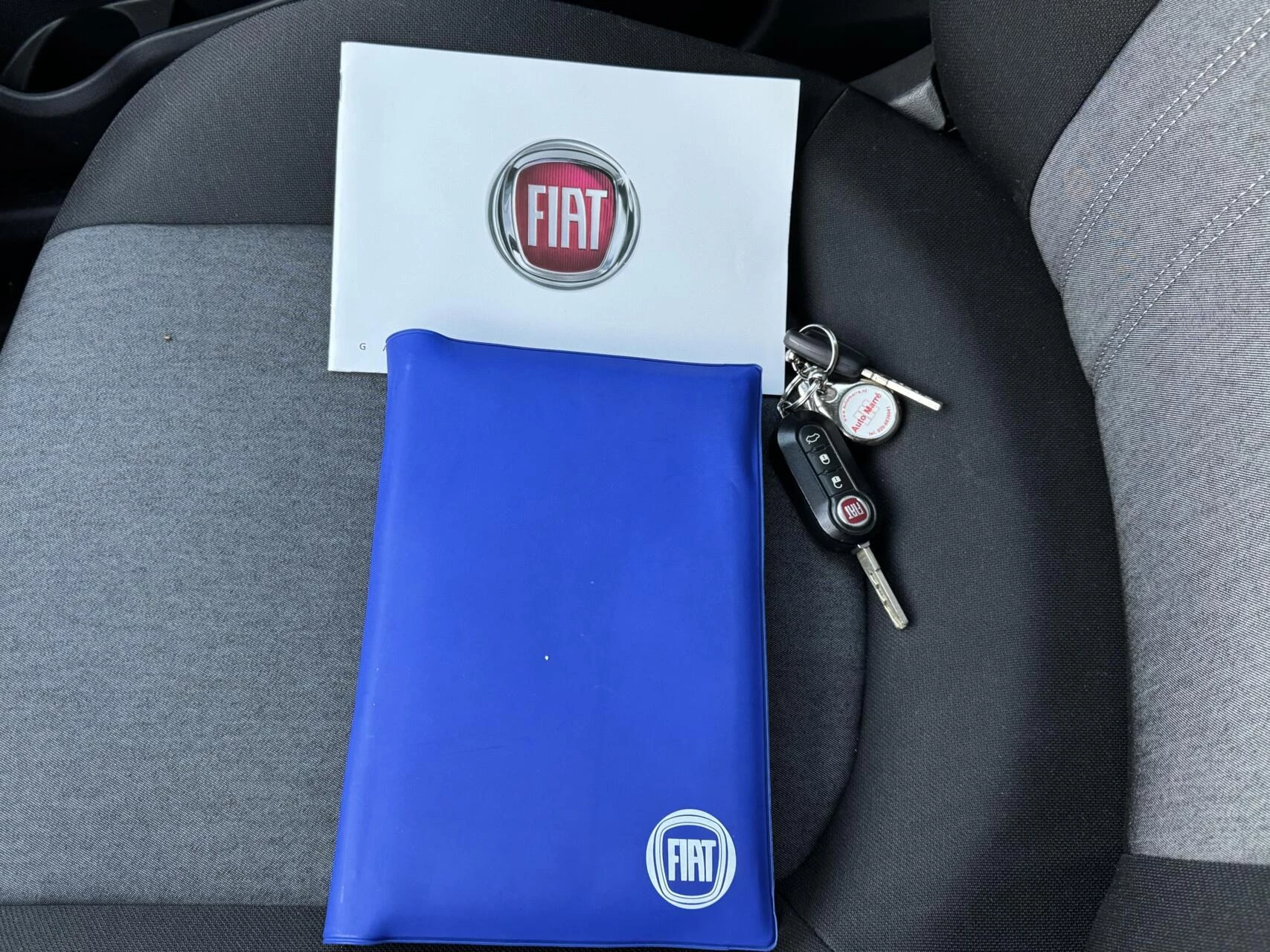 Hoofdafbeelding Fiat Punto